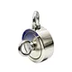 rare earth magnet